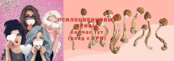 круглые Алзамай