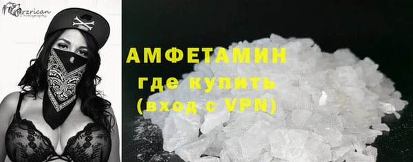 прущие грибы Абинск