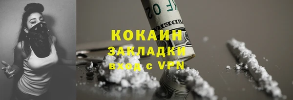 прущие грибы Абинск
