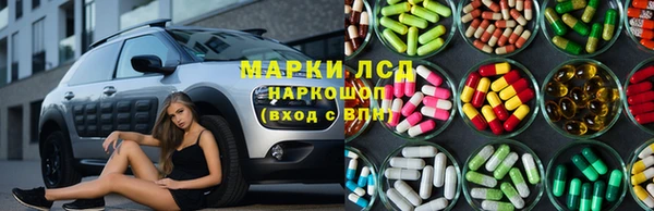 прущие грибы Абинск