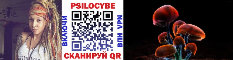 Псилоцибиновые грибы Cubensis  купить   Куровское 